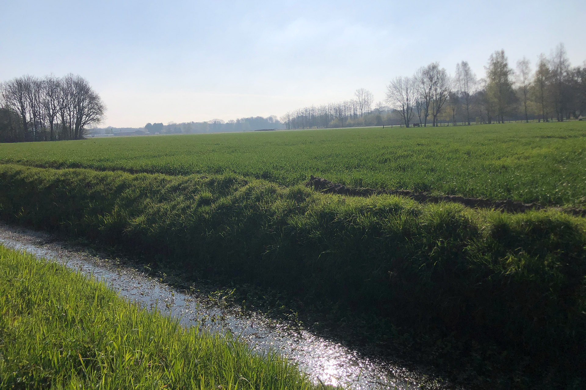 wandelen-met-Anneke-Mooi-in-balans-02-web